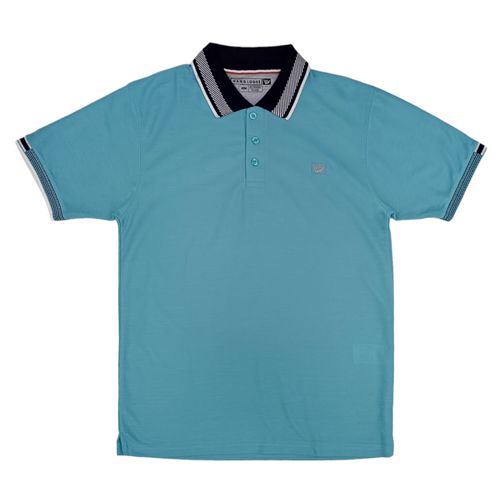 Camisa tipo polo celeste sólido