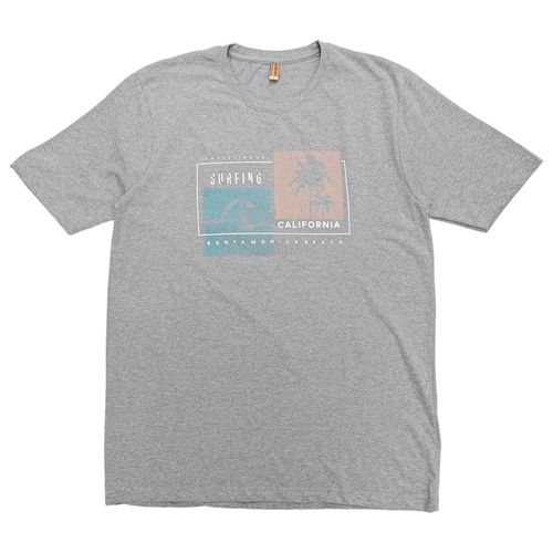 Camiseta estampada gris