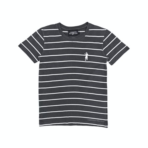 Camiseta gris rayada