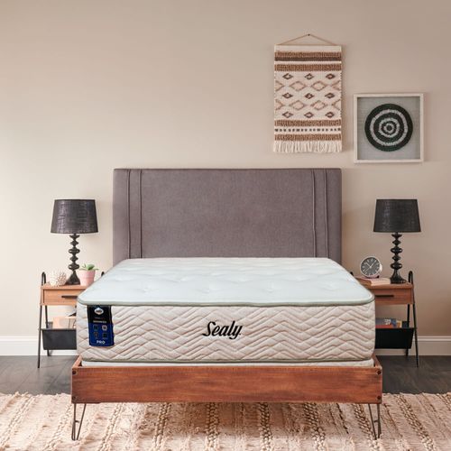 Cama Sealy Bosco