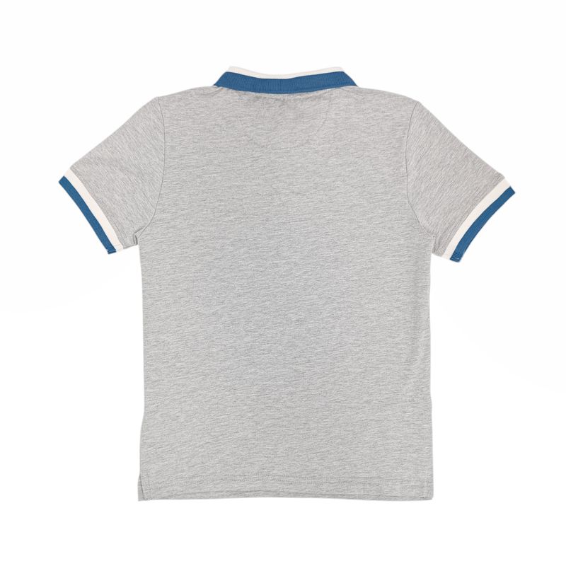 104911333_gris_2