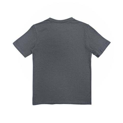 Camiseta gris para niño