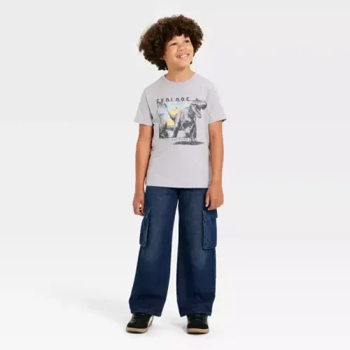 Camiseta estampada color gris con estampado de dinosaurio para niño